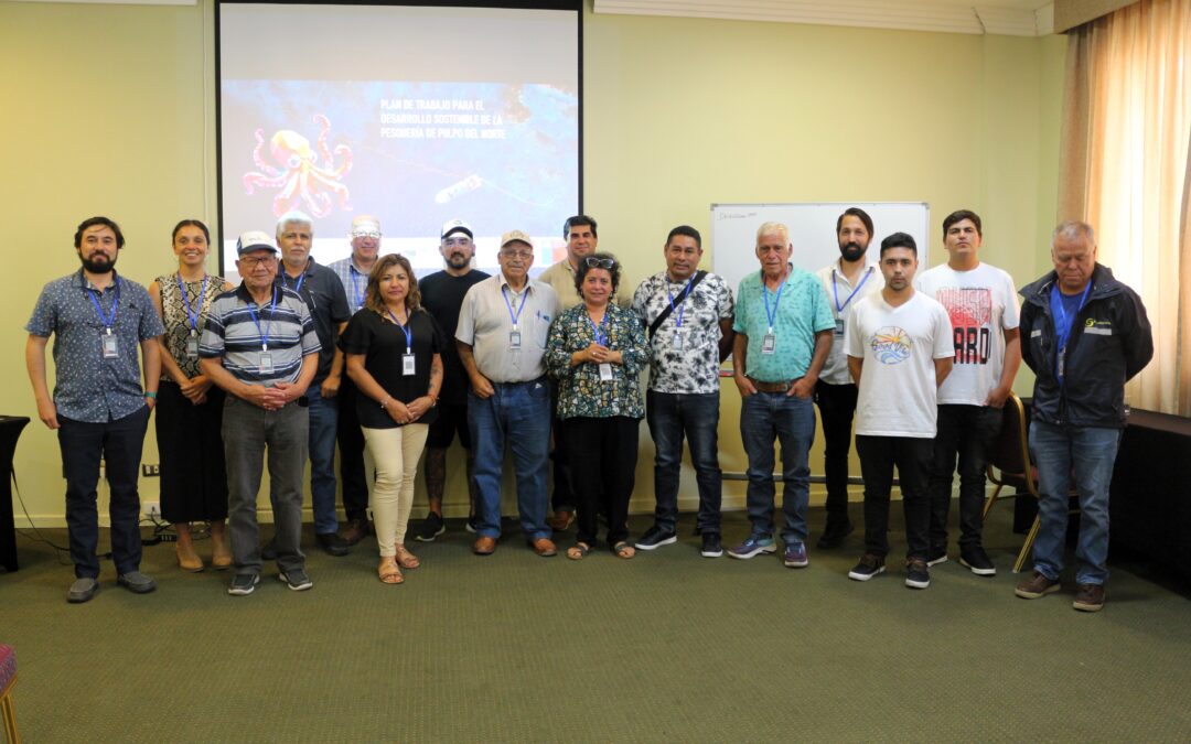 Pescadores artesanales, representantes del sector público y organizaciones trabajan en un plan de acción para alcanzar la sostenibilidad de la pesquería de pulpo del norte