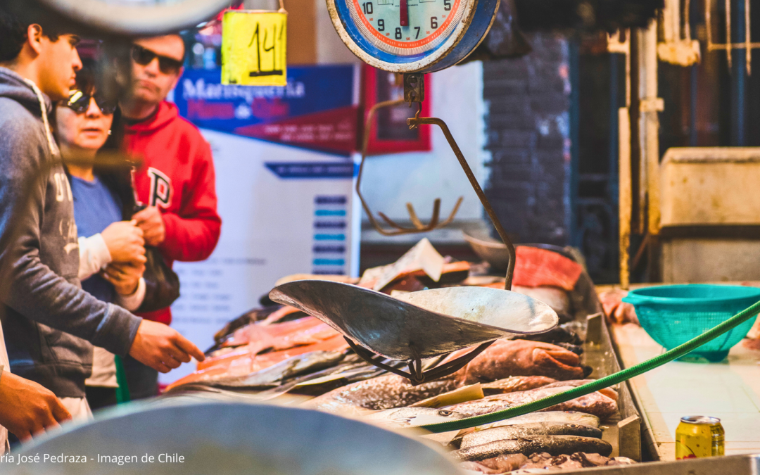 50% de los alimentos del mar en Chile enfrenta un alto riesgo de sustentabilidad