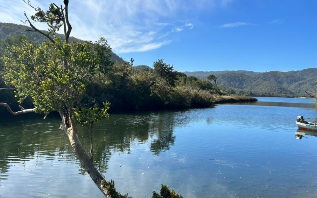 WWF Chile y Centro de Pesca Sustentable inician nueva etapa de Guardianes del Mar en el ACMU Lafken Mapu Lahual